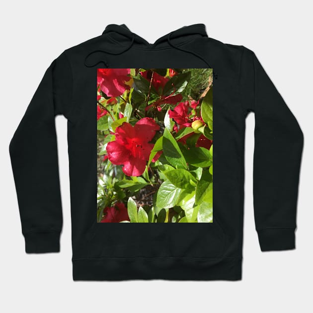 A Jungle of Red Azaleas Hoodie by Amanda1775